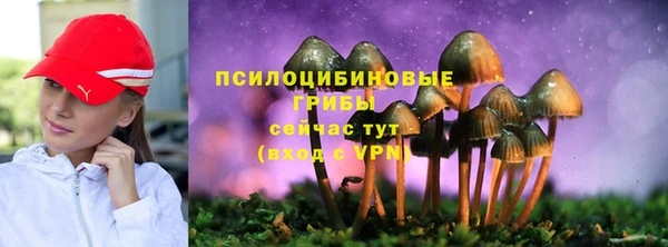 mdpv Володарск