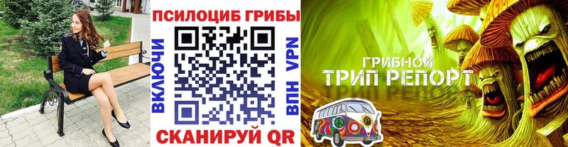 Галлюциногенные грибы GOLDEN TEACHER  Курган 